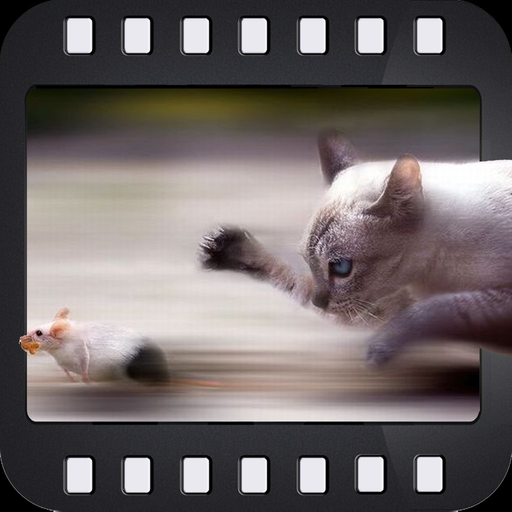 Focus In Motion app icon