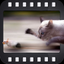 Focus In Motion icon