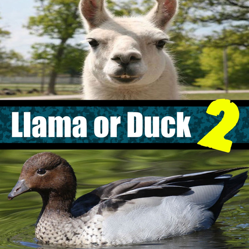 Llama or Duck Quiz 2 app icon