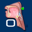 Oral Disorders icon