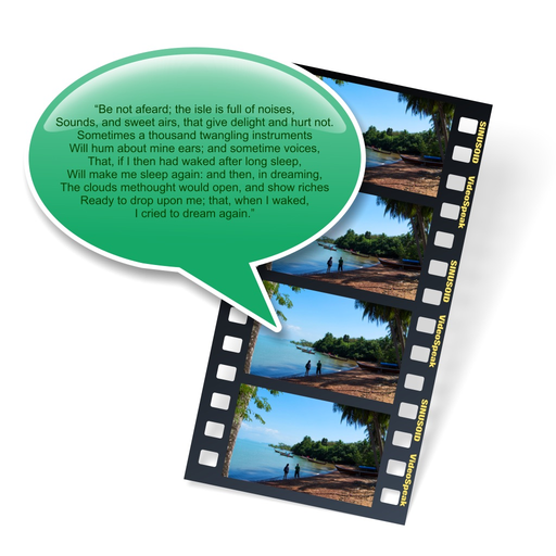 VideoSpeak app icon