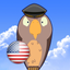 Feather Squadron: USA icon