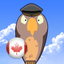 Feather Squadron: Canada icon