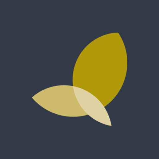 FocusXL app icon