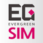 EG Sim Card icon