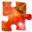 PhotoJigSawPuzzle Version icon