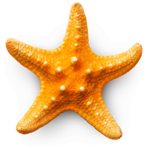 Sandy Beach 3D app icon