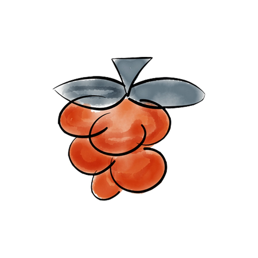 Remote Pi app icon