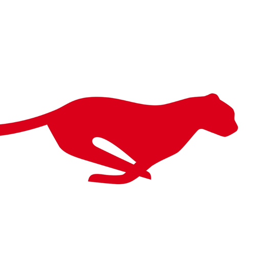 FLS MOBILE app icon