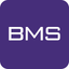 BMS Token icon