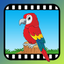 Video Touch: Wild Birds icon