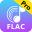Any FLAC Converter icon