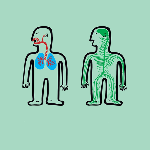 Systems of the Human Body app icon