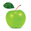 Whole Life Times magazine icon