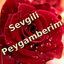 Peygamberim icon