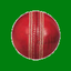 CricketCounter icon