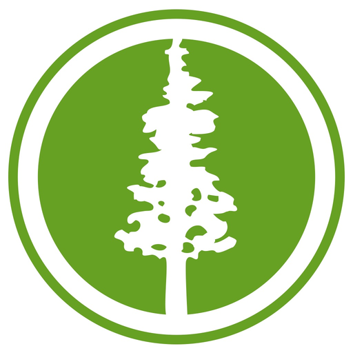 PaloAlto311 app icon
