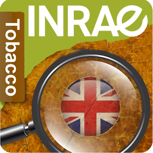 DiagnoPlantTobacco app icon