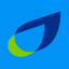 British Gas icon