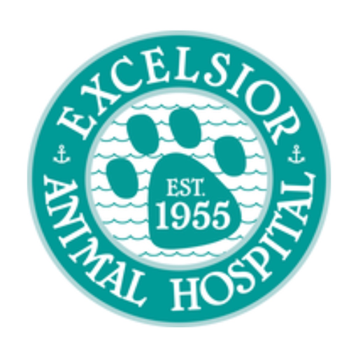Excelsior AH app icon