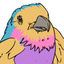 Birdle - A Daily Guessing Game icon