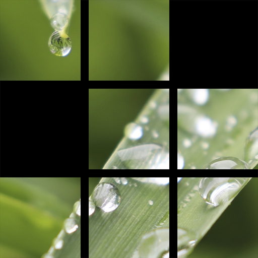 Puzzling Snapshots app icon