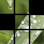 Puzzling Snapshots icon