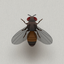 CAT ALONE - Cat Toy icon