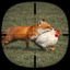 Animal Hunter: Wild Shooting icon
