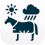 Equirug icon