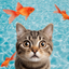 Cat Games for Cats: Fishing icon