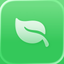 Folium icon