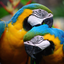 SGS Birds - Shukavana icon
