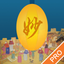 Discovering Chinese Pro icon