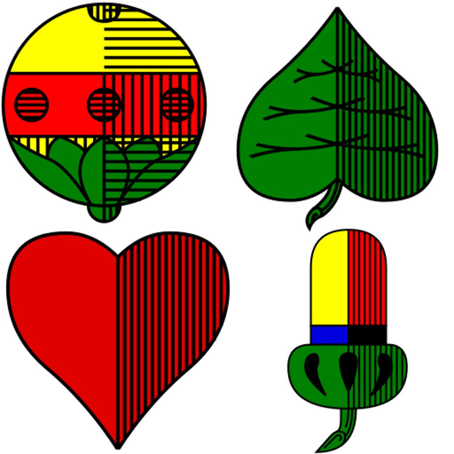 Binokel app icon