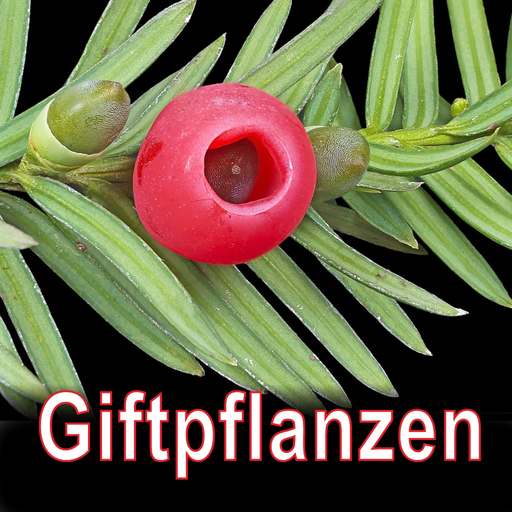 Giftpflanzen Mitteleuropas app icon