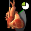 TEE Standard Views icon