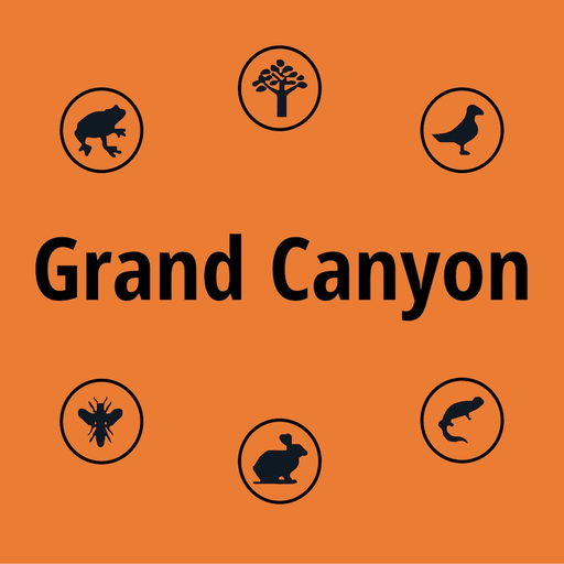 Grand Canyon NP Field Guide app icon