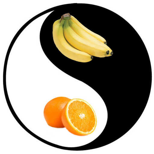FoodYinYang app icon