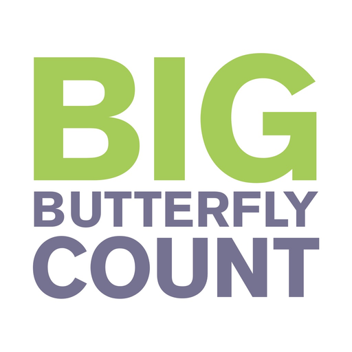 Big Butterfly Count app icon