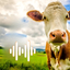 Cow Sounds App icon