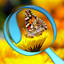 Zoom Photo Game icon