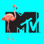 MTV Master icon