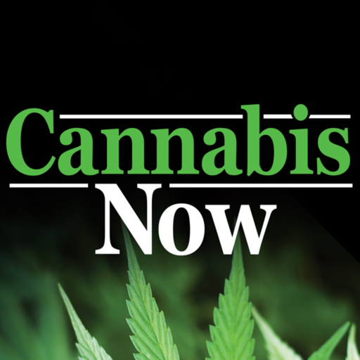 Cannabis Now app icon