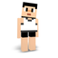 BlockheadsServer icon