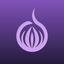 TOR Browser, Prosec Onion VPN icon
