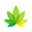 IndicaOnline icon