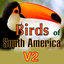 Birds of South America icon
