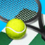 Ace Tennis 2013 English Championship Edition Free icon