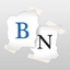 Bidnapper Auction Sniper icon